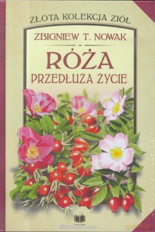 Róża. Przedłuża życie - Zbigniew T.Nowak [KSIĄŻKA]