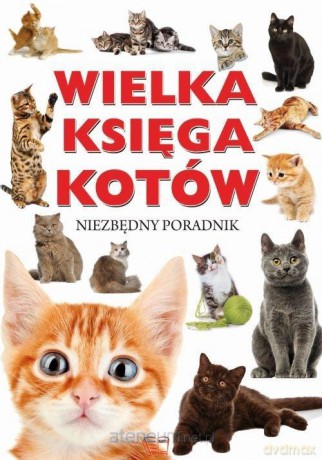 Wielka Księga Kotów [KSIĄŻKA]