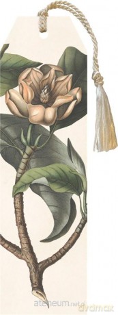 Zakładka 45 ze wstążką Magnolia