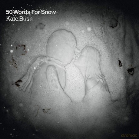 Kate Bush: 50 Words For Snow [2xWinyl]