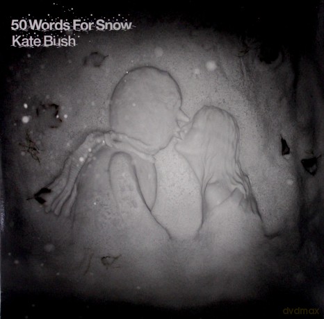 Kate Bush: 50 Words For Snow [2xWinyl]