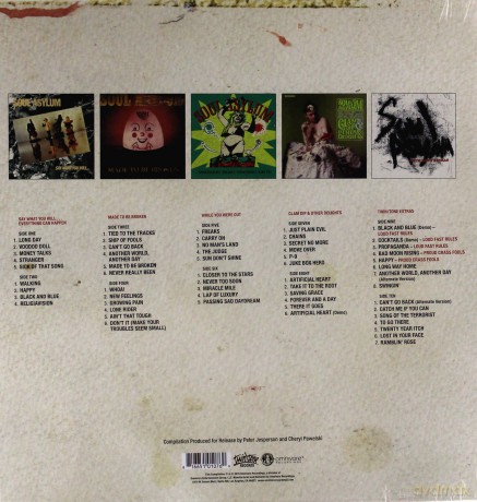 Soul Asylum: The Twin/Tone Years [5xWinyl]