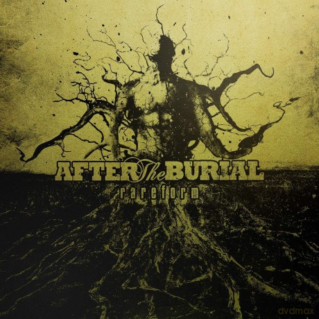 After The Burial: Rareform (10 Year Anniversary) [Winyl]