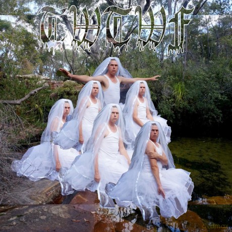 Liars: Titles With The Word Fountain [Winyl]