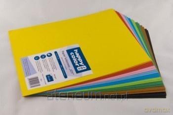 Papier kolorowy A4/200K 10 kolorów