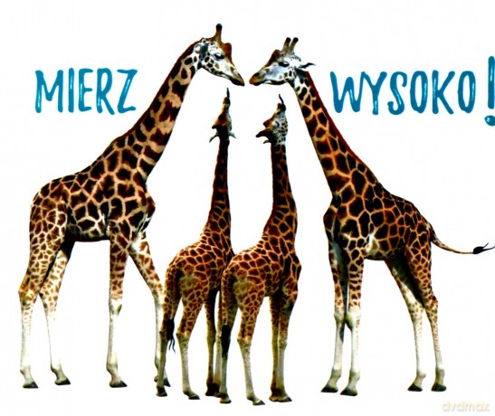 Perełka 291 - Mierz wysoko! [KSIĄŻKA]