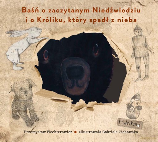 Baśń o zaczytanym niedźwiedziu i o króliku który spadł z nieba - Przemysław Wechterowicz, Gabriela Cichowska [KSIĄŻKA]