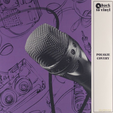 Back To Vinyl Polskie Covery [Winyl]