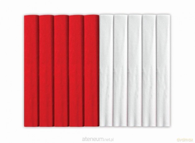 Bibuła marszczona 25x200 cm mix PL