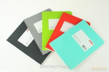 Brulion klejony A4/96K kratka Colors (5 szt)