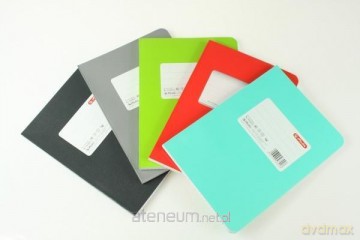 Brulion klejony A5/96K kratka Colors (5 szt)