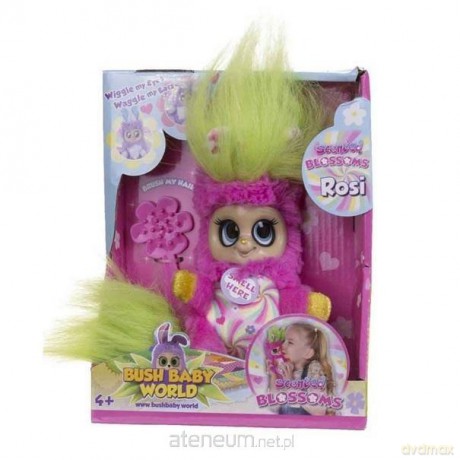 Bush Baby Blossom Rosi