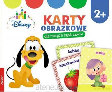 Disney Maluch. Karty obrazkowe [KSIĄŻKA]