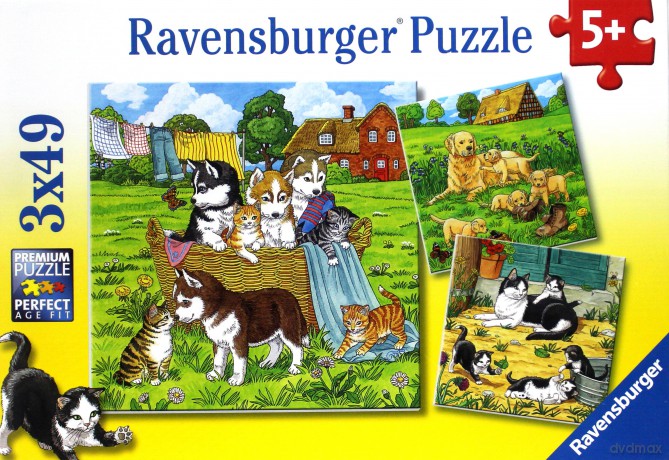 RAVENSBURGER Słodkie Pieski I Kotki 3x49 el. [PUZZLE]
