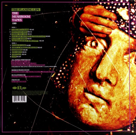 The Flaming Lips: The Mushroom Tapes (RSD) [Winyl]