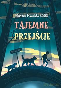 Tajemne przejście - Marzena Mazińska Cieślik [KSIĄŻKA]