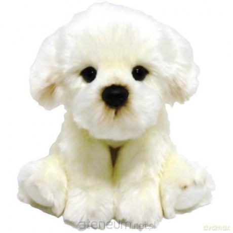 Fluffy Fam pies Bichon 30 cm