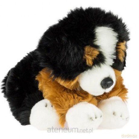 Fluffy Fam pies MT 30 cm