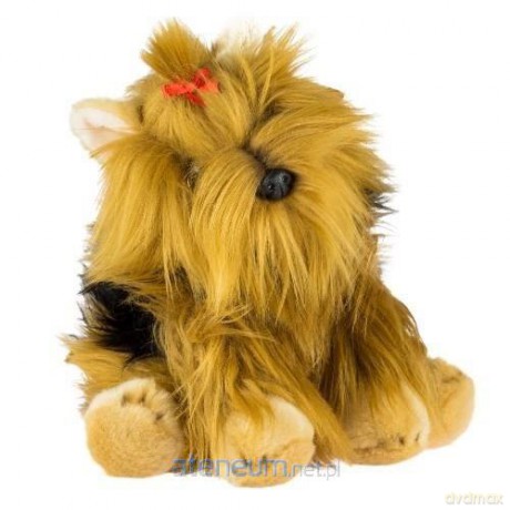 Fluffy Fam York 30 cm