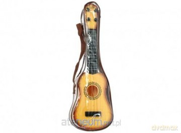 Gitara w pokrowcu