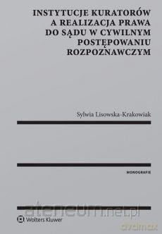 Instytucje kuratorów a realizacja prawa do sądu [KSIĄŻKA]