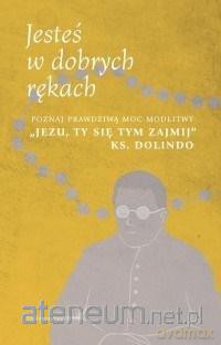 Jesteś w dobrych rękach - Karol Wilczyński [KSIĄŻKA]