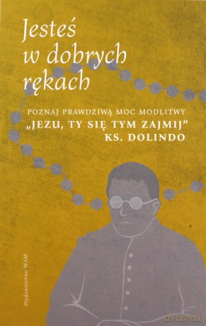 Jesteś w dobrych rękach - Karol Wilczyński [KSIĄŻKA]