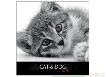 Kalendarz 2019 13 pl. 30x30 szyty Cat&Dog [KALENDARZ]
