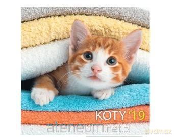 Kalendarz 2019 13 pl. 30x30 szyty Koty [KALENDARZ]