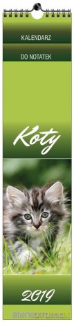 Kalendarz 2019 13 Plansz paskowy - Koty [KALENDARZ]