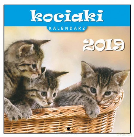 Kalendarz 2019 13 Planszowy Kociaki [KALENDARZ]