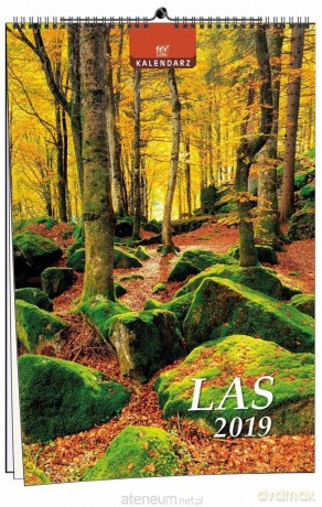 Kalendarz 2019 13 Planszowy Las [KALENDARZ]
