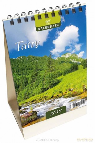 Kalendarz 2019 13 Planszowy pionowy mały Tatry [KALENDARZ]