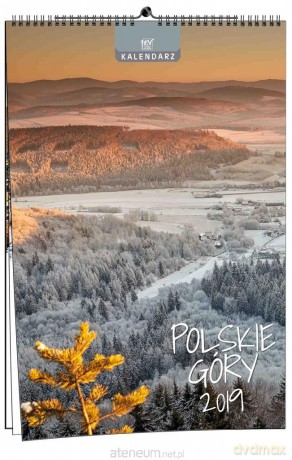 Kalendarz 2019 13 Planszowy Polskie Góry [KALENDARZ]