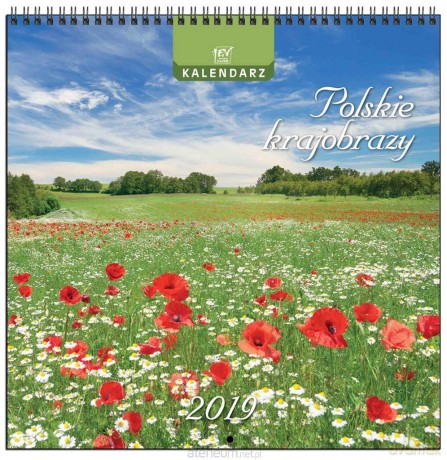 Kalendarz 2019 13 Planszowy Polskie Krajobrazy [KALENDARZ]