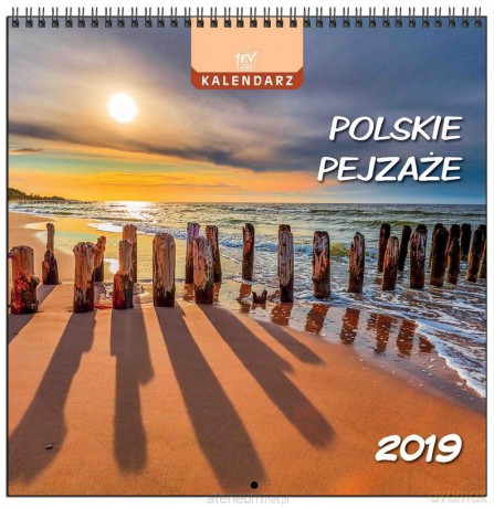 Kalendarz 2019 13 Planszowy Polskie Pejzaże [KALENDARZ]