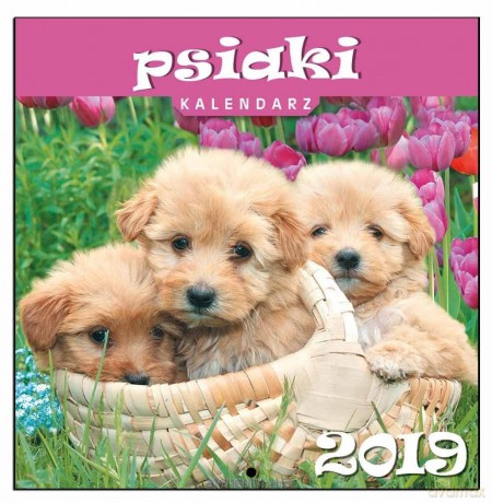 Kalendarz 2019 13 Planszowy Psiaki [KALENDARZ]
