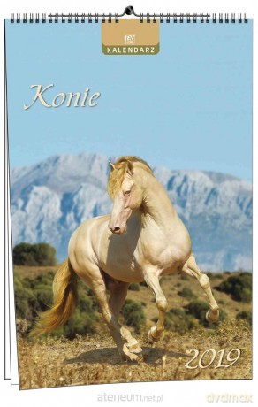Kalendarz 2019 7 Plansz - Konie [KALENDARZ]