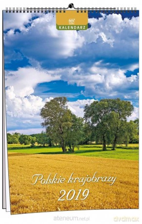 Kalendarz 2019 7 Planszowy Polskie Krajobrazy [KALENDARZ]