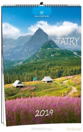 Kalendarz 2019 7 Planszowy Tatry [KALENDARZ]