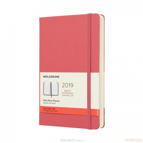 Kalendarz 2019 dzienny 12ML daisy pink [KALENDARZ]