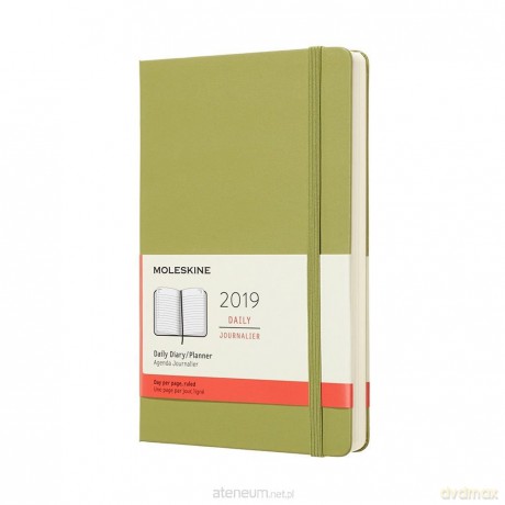 Kalendarz 2019 dzienny 12ML lichen green [KALENDARZ]