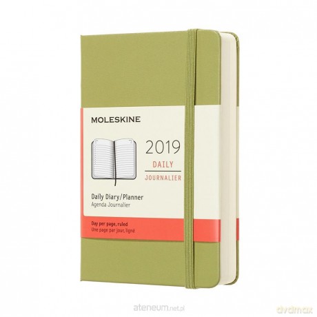 Kalendarz 2019 dzienny 12MP lichen green [KALENDARZ]