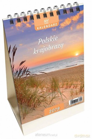 Kalendarz 2019 Plansz pion mały Polskie Krajobrazy [KALENDARZ]