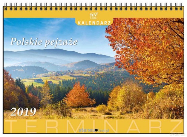 Kalendarz 2019 Planszowy A4 Polskie Pejzaże [KALENDARZ]
