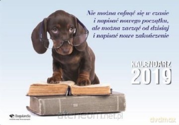 Kalendarz 2019 Ścienny [KALENDARZ]