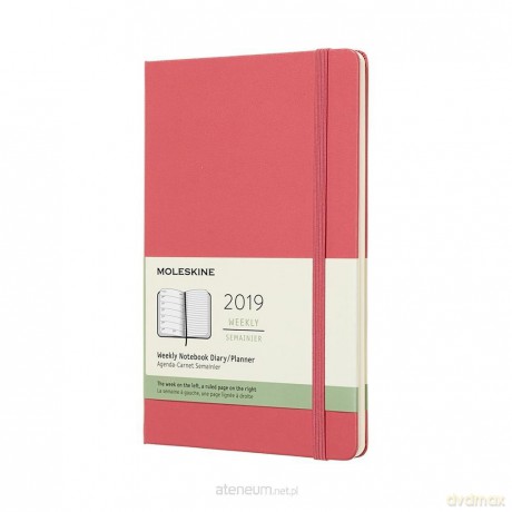 Kalendarz 2019 tygodniowy 12ML daisy pink [KALENDARZ]