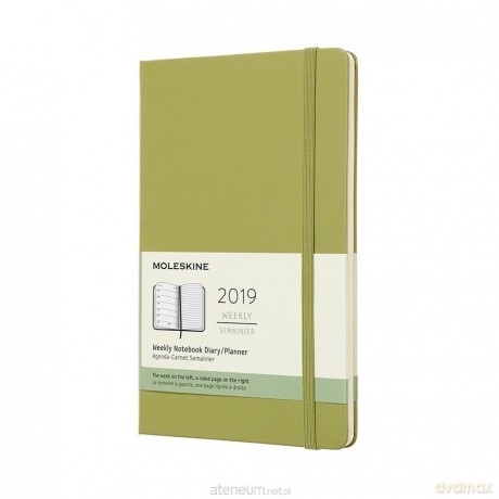 Kalendarz 2019 tygodniowy 12ML lichen green [KALENDARZ]