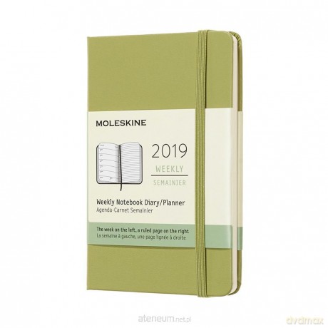 Kalendarz 2019 tygodniowy 12MP lichen green [KALENDARZ]
