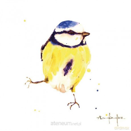 Karnet kwadrat mały z kopertą Blue Tit